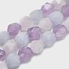 Natural Aquamarine & Rose Quartz & Amethyst Beads Strands G-K303-B07-8mm-1