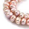 Natural Cultured Freshwater Pearl Beads Strands PEAR-C003-29B-4