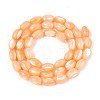 Natural Trochus Shell Beads Strands SHEL-K006-19-01G-2
