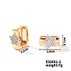 Exquisite Brass Cubic Zirconia Hoop Earrings Fashionable Light Luxury EN3561-2-1