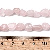 Natural Rose Quartz Beads Strands G-P601-A05-02-5