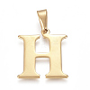 304 Stainless Steel Pendants STAS-F106-95G-H-1