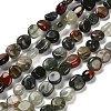 Natural African Bloodstone Beads Strands G-P497-01E-13-1