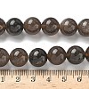 Natural Ice Obsidian Beads Strands G-P590-A03-12mm-01-3