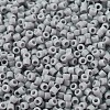MIYUKI Delica Beads SEED-MY11-DB1139-3