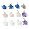 DICOSMETIC 12Pcs Natural Mixed Stone Pendants G-DC0001-12-1