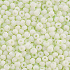 8/0 Opaque Glass Seed Beads X1-SEED-S048-N-010-3