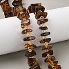 Natural Amber Beads Strands G-F802-A01-01-1