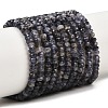 Natural Iolite Beads Strands G-P612-A02-01-2