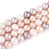 Natural Cultured Freshwater Pearl Beads Strands PEAR-T006-26-2