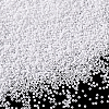 11/0 Glass Seed Beads SEED-PH0003-06-2