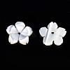 Natural White Shell Beads SSHEL-S260-025-4