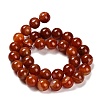 Dyed Natural Agate Beads Strands G-G203-10L-12mm-3