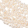 Natural Cultured Freshwater Pearl Beads Strands PA-CBABE82-02E-3