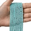 Eco-Friendly Dyed Glass Pearl Round Beads Strands HY-A002-4mm-RB104-6