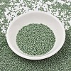 MIYUKI Delica Beads SEED-X0054-DB2310-2