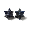 Natural Sodalite Beads G-A206-01B-30-2