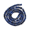 Natural Sodalite Beads Strands G-G143-A03-01-3