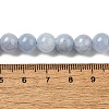 Dyed Natural Malaysia Jade Beads Strands G-G021-02B-22-3