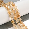 Natural Citrine Beads Beads Strands G-G053-B09-01A-2