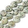 Natural Sesame Jasper Beads Strands G-K365-B16-03-1