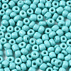 6/0 Glass Seed Beads SEED-S058-A-F437-3
