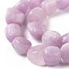 Natural Kunzite Beads Strands G-A208-01A-4