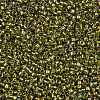 TOHO Round Seed Beads X-SEED-TR15-0996-2
