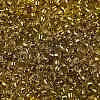 TOHO 8/0 Round Beads SEED-TR08-2155S-2