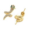 Rack Plating Snake Brass Stud Earrings EJEW-N055-45G-RS-2