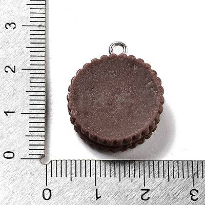 Cookies Theme Imitation Food Resin Pendants RESI-B021-02B-04-1