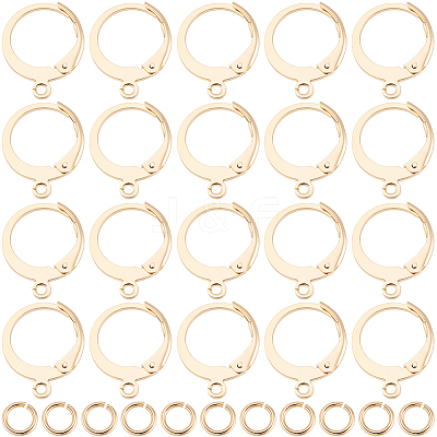 30Pcs 304 Stainless Steel Leverback Earring Findings STAS-BBC0009-21-1