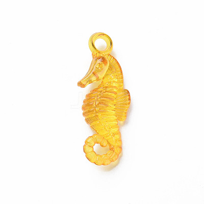 Transparent Acrylic Pendants MACR-N013-042-1
