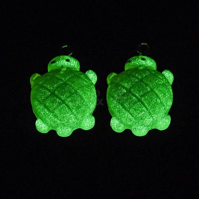 Gradient Color & Luminous Opaque Resin Pendants LS-RESI-S011-01H-1