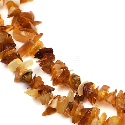 Natural Amber Chip Beads Strands G-E271-81-01-1