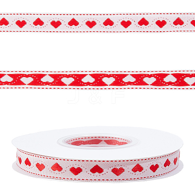 Polyester Ribbon OCOR-CY0004-12A-1