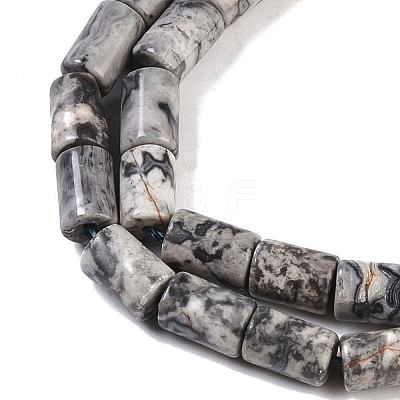 Natural Map Stone Beads Strands G-C128-A04-01-1