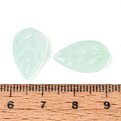 Imitation Jade Acrylic Pendants OACR-T030-27B-1
