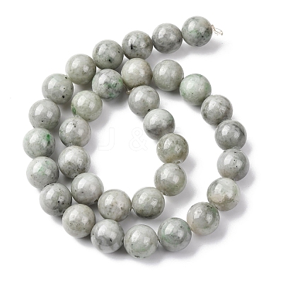 Natural Chinese Jade Southern Jade Beads Strands G-H343-D08-12mm-1