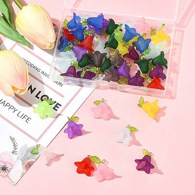 50Pcs Transparent Acrylic Pendants PALLOY-FS00043-05-1
