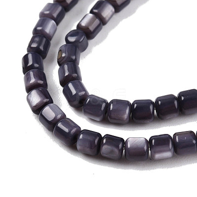 Natural Freshwater Shell Beads Strands SHEL-N003-33-A01-1
