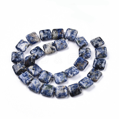 Natural Blue Spot Jasper Beads Strands G-N326-140G-1