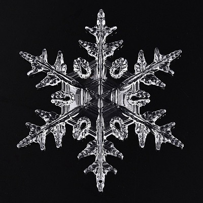 Transparent Acrylic Connector Charms TACR-T028-06A-1