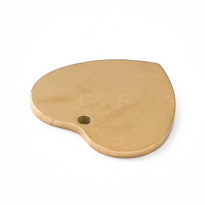 Ion Plating(IP) 304 Stainless Steel Pendants STAS-F271-06C-G-1