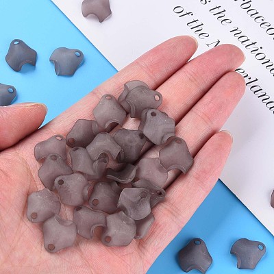 Transparent Acrylic Beads MACR-S373-106-D02-1