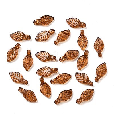 Transparent Acrylic Charms OACR-G054-02H-1