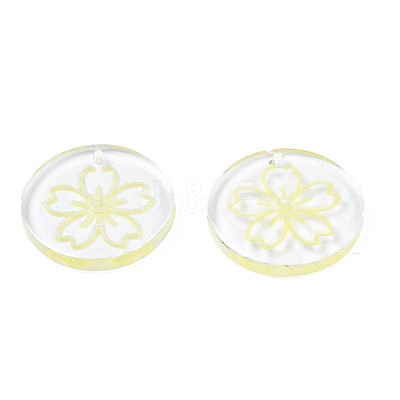 Transparent Resin Pendants RESI-N030-004E-1