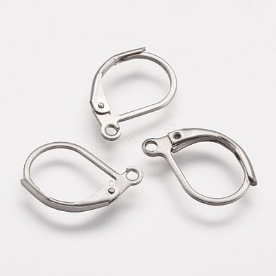 Tarnish Resistant 316 Surgical Stainless Steel Leverback Earring Findings X-STAS-P113-01-1