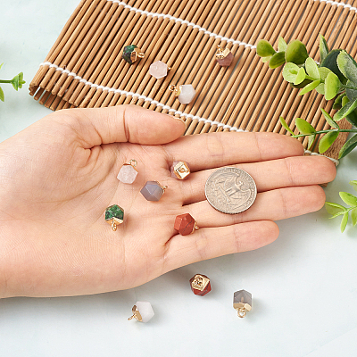 12Pcs 6 Style Natural Gemstone Charms G-FW0001-24-1