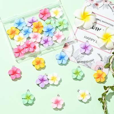 28Pcs 7 Colors Opaque Resin Pendants FIND-SC0019-46-1